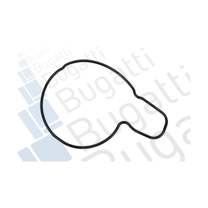 Vandens siurblys, variklio aušinimas BUGATTI PA9002