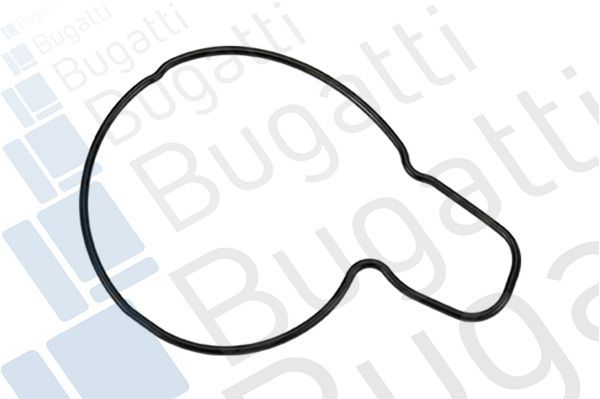 Vandens siurblys, variklio aušinimas BUGATTI PA9002