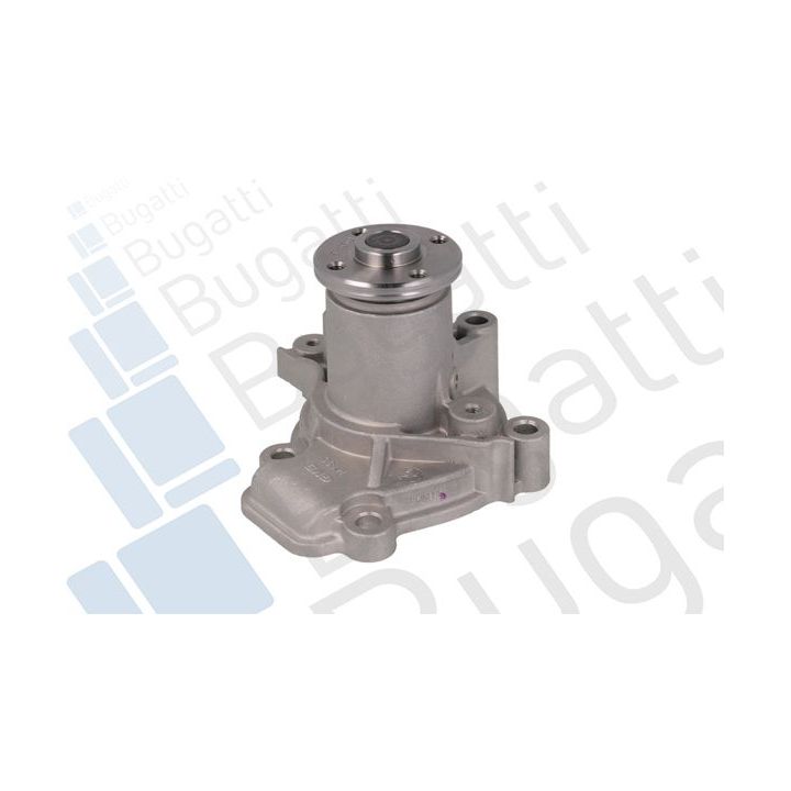 Vandens siurblys, variklio aušinimas BUGATTI PA9202