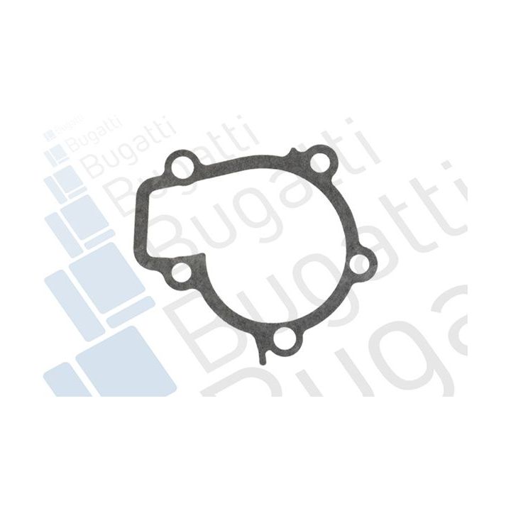 Vandens siurblys, variklio aušinimas BUGATTI PA9202