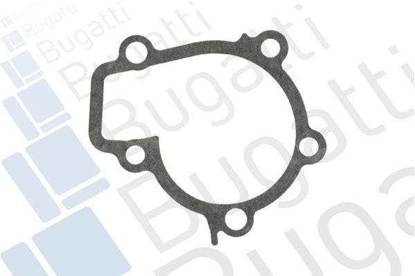 Vandens siurblys, variklio aušinimas BUGATTI PA9202