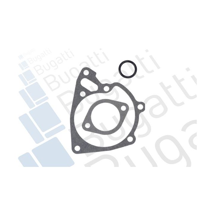 Vandens siurblys, variklio aušinimas BUGATTI PA9204