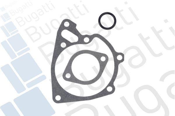 Vandens siurblys, variklio aušinimas BUGATTI PA9204