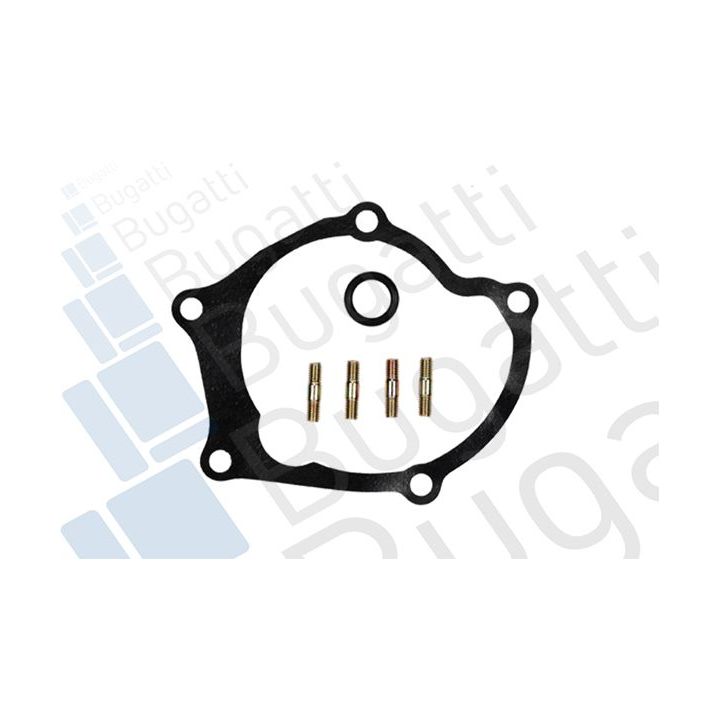 Vandens siurblys, variklio aušinimas BUGATTI PA9205