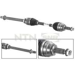 Pusašis SNR DK55.033