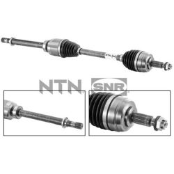 Pusašis SNR DK55.036