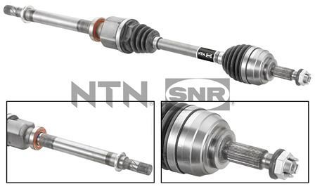 Pusašis SNR DK55.186