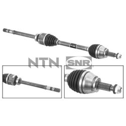 Pusašis SNR DK55.254