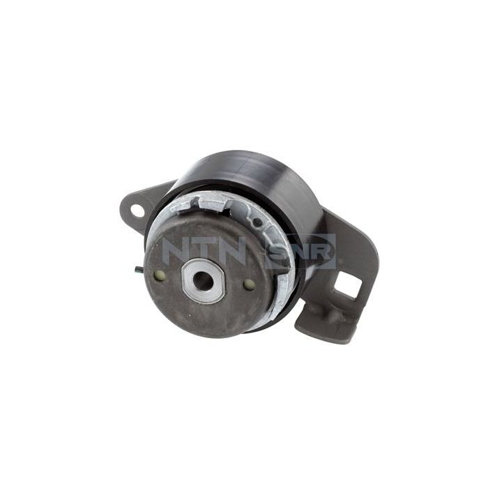 įtempiklio skriemulys, paskirstymo diržas SNR GT355.25