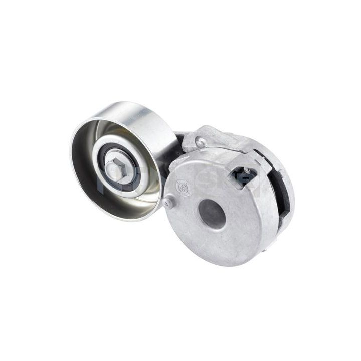 įtempiklio skriemulys, V formos rumbuotas diržas SNR GA355.25