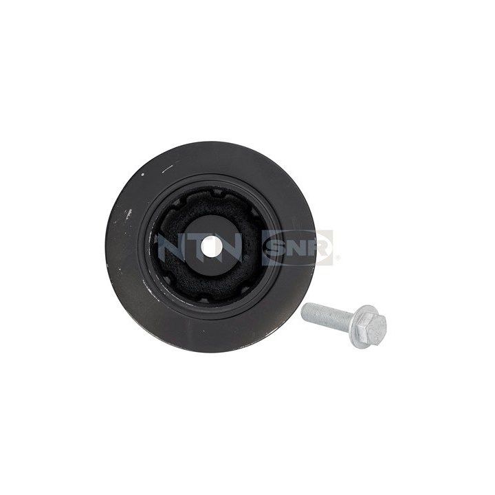 Skriemulys, alkūninis velenas SNR DPF355.17K1