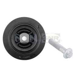 Skriemulys, alkūninis velenas SNR DPF355.20K1