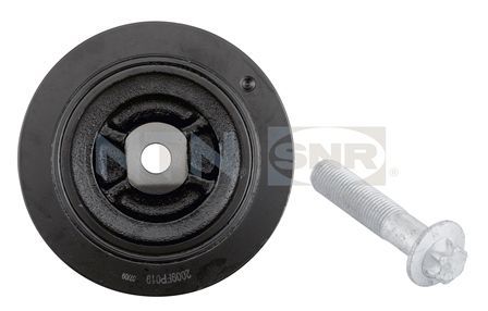 Skriemulys, alkūninis velenas SNR DPF355.20K1