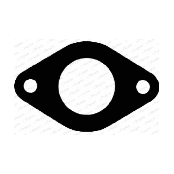 Tarpiklis, išleidimo kolektorius PAYEN JA689