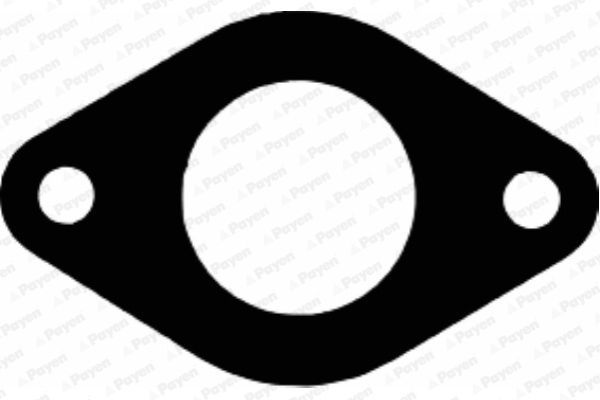 Tarpiklis, išleidimo kolektorius PAYEN JA689