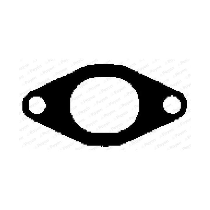 Tarpiklis, išleidimo kolektorius PAYEN JC055