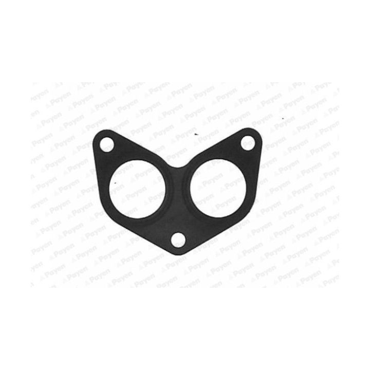 Tarpiklis, išleidimo kolektorius PAYEN JC778