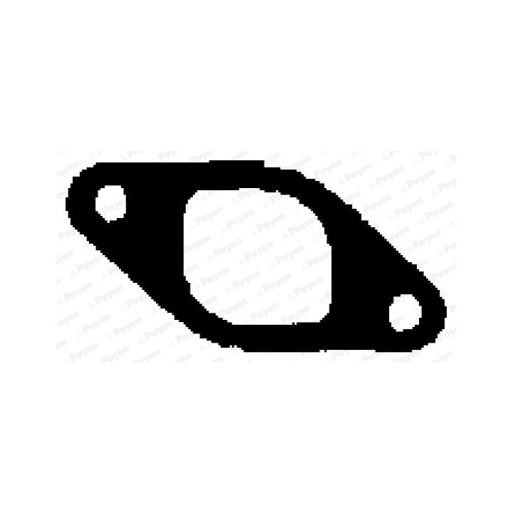 Tarpiklis, išleidimo kolektorius PAYEN JD025