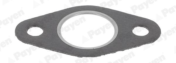 Tarpiklis, išleidimo kolektorius PAYEN JD198