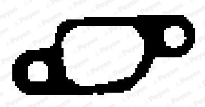 Tarpiklis, išleidimo kolektorius PAYEN JD545