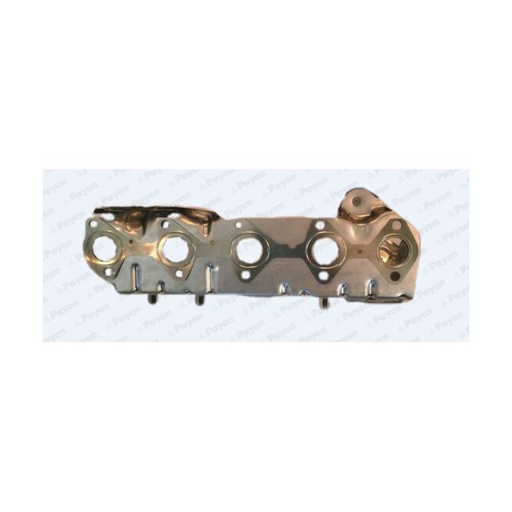 Tarpiklis, išleidimo kolektorius PAYEN JD6069