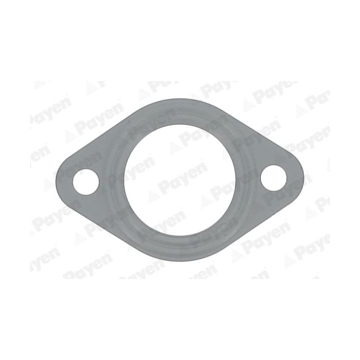 Tarpiklis, išleidimo kolektorius PAYEN JD6149