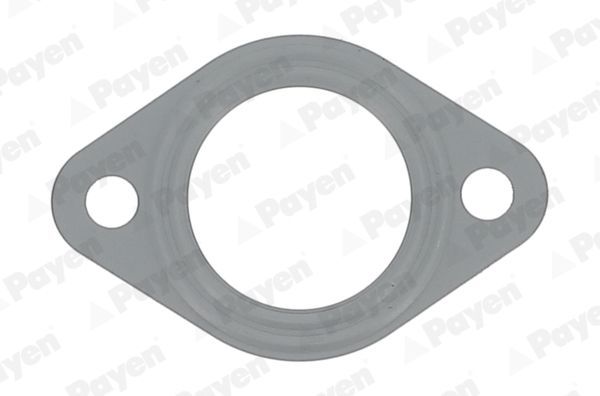 Tarpiklis, išleidimo kolektorius PAYEN JD6149