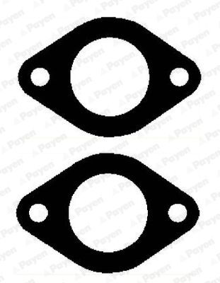 Tarpiklis, išleidimo kolektorius PAYEN JD6149