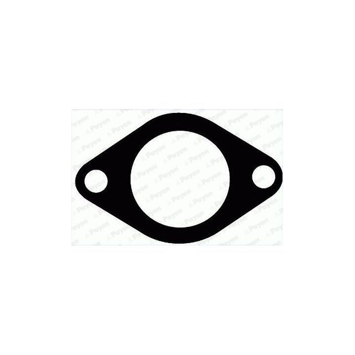 Tarpiklis, išleidimo kolektorius PAYEN JD6155