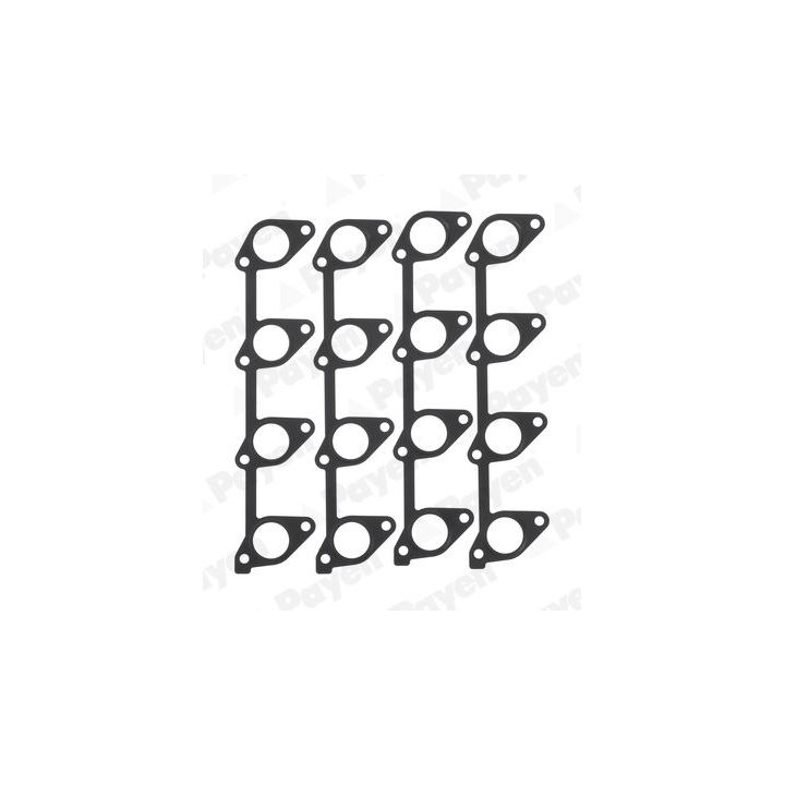 Tarpiklis, išleidimo kolektorius PAYEN JD6162