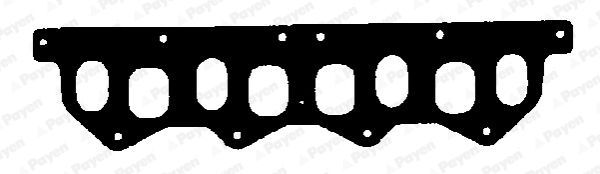 Tarpiklis, įsiurbimo / išleidimo kolektorius PAYEN JD419