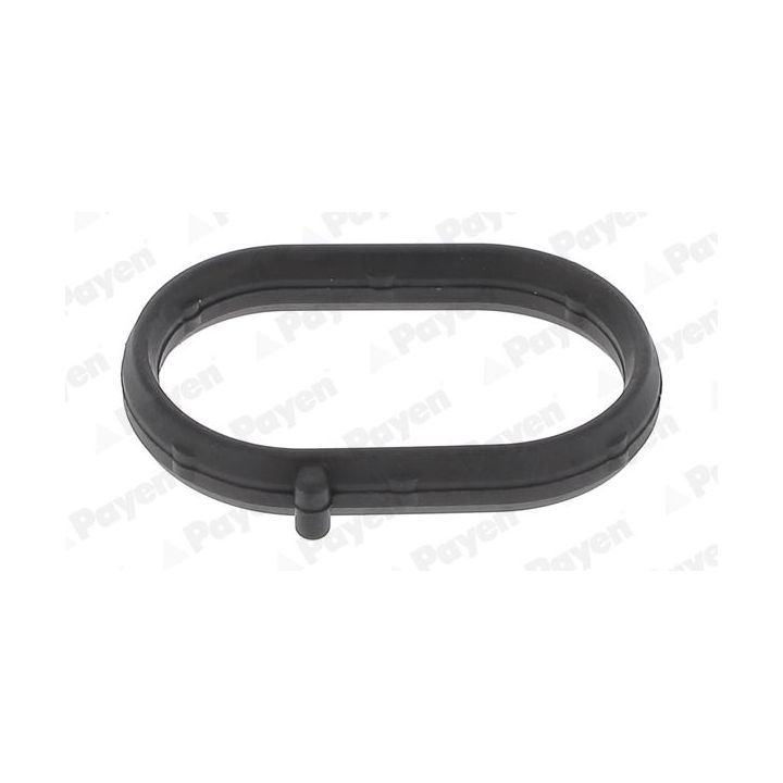 Tarpiklis, įsiurbimo kolektorius PAYEN JA5008