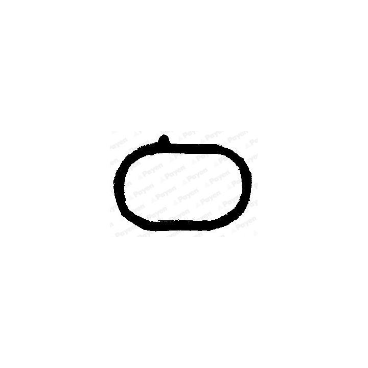 Tarpiklis, įsiurbimo kolektorius PAYEN JA5008