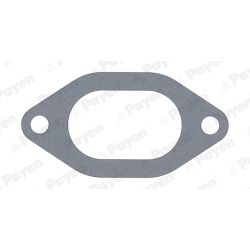 Tarpiklis, įsiurbimo kolektorius PAYEN JC054