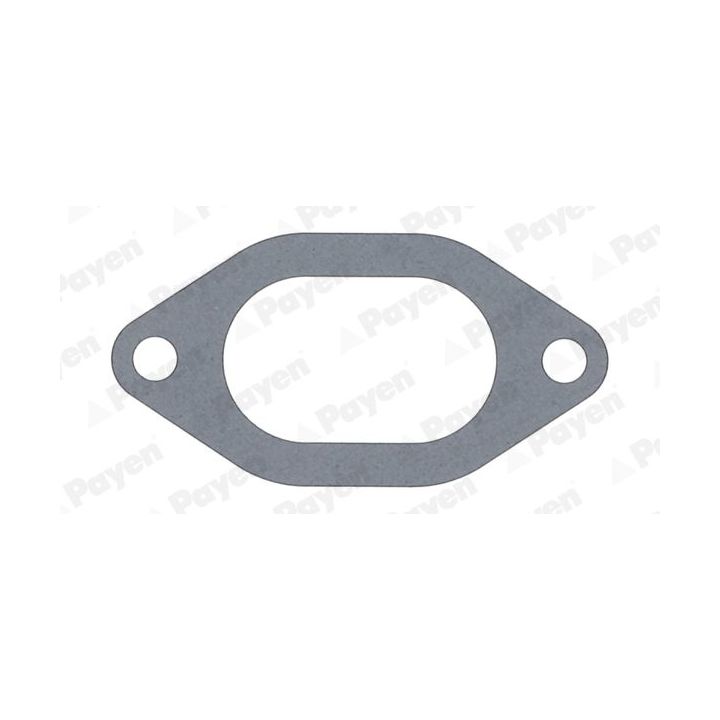 Tarpiklis, įsiurbimo kolektorius PAYEN JC054