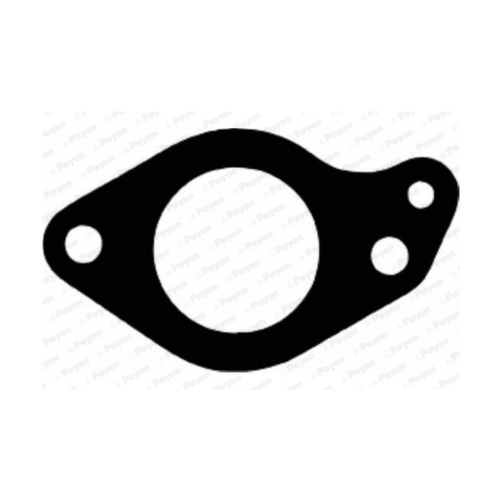 Tarpiklis, įsiurbimo kolektorius PAYEN JD144