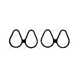 Tarpiklis, įsiurbimo kolektorius PAYEN JD421