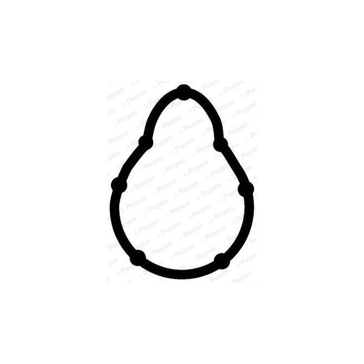 Tarpiklis, įsiurbimo kolektorius PAYEN JD5315