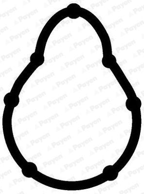 Tarpiklis, įsiurbimo kolektorius PAYEN JD5315