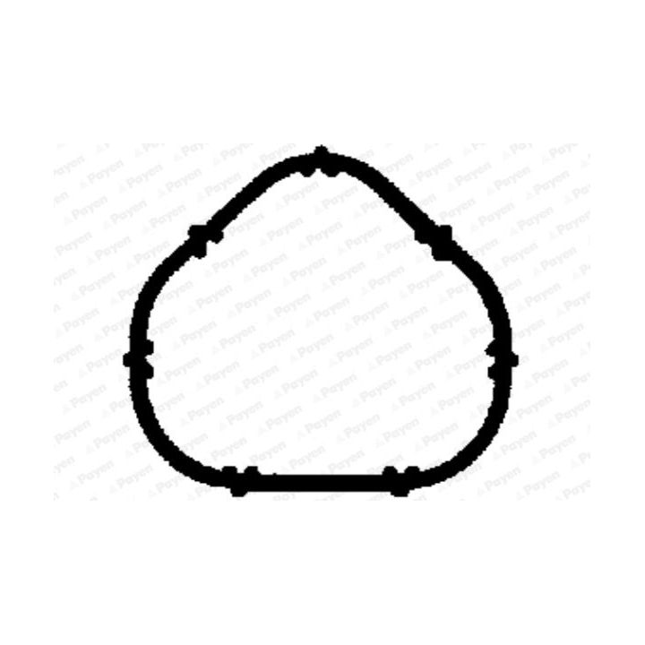 Tarpiklis, įsiurbimo kolektorius PAYEN JD5885