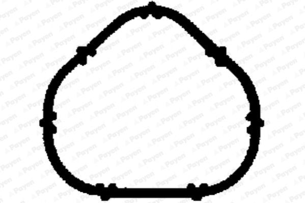 Tarpiklis, įsiurbimo kolektorius PAYEN JD5885