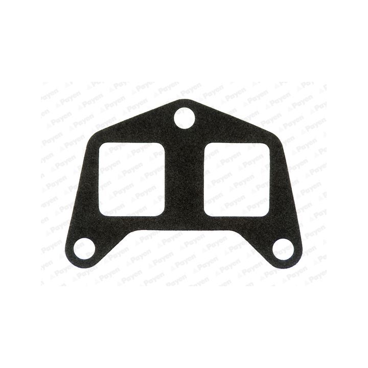 Tarpiklis, įsiurbimo kolektorius PAYEN JD5972