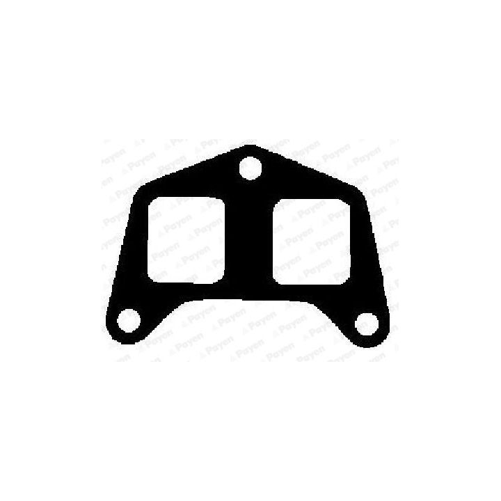 Tarpiklis, įsiurbimo kolektorius PAYEN JD5972