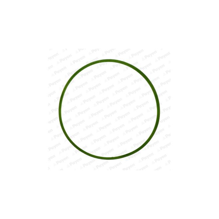 Tarpiklis, įsiurbimo kolektorius PAYEN JD5982