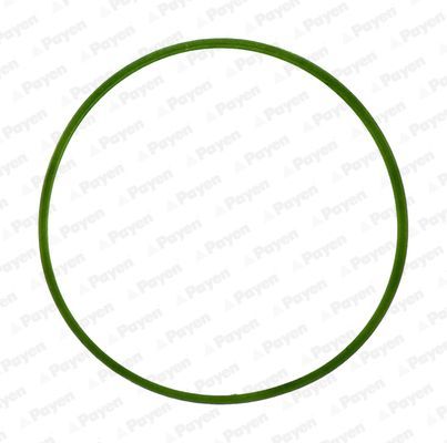 Tarpiklis, įsiurbimo kolektorius PAYEN JD5982