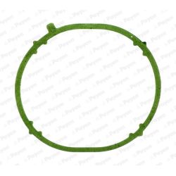 Tarpiklis, įsiurbimo kolektorius PAYEN JD6031