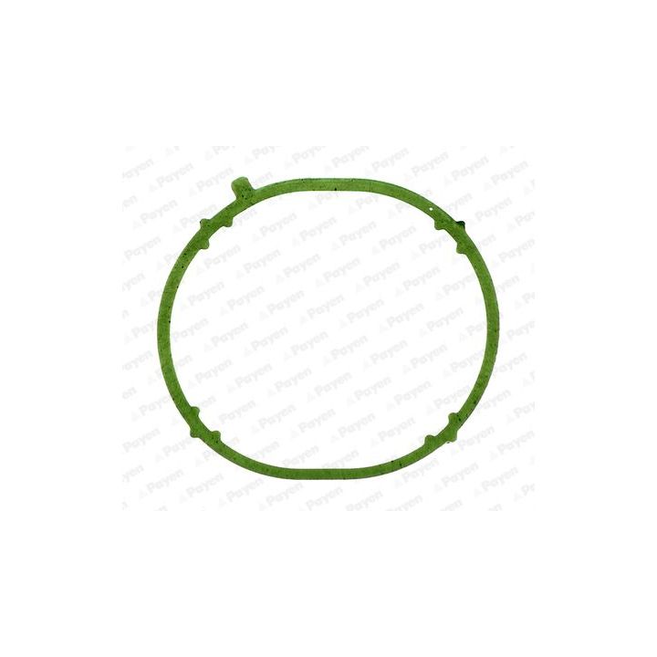 Tarpiklis, įsiurbimo kolektorius PAYEN JD6031