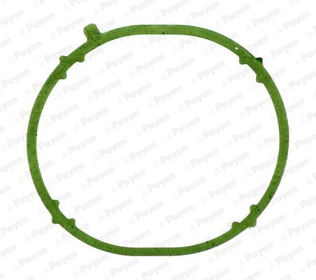 Tarpiklis, įsiurbimo kolektorius PAYEN JD6031