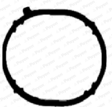 Tarpiklis, įsiurbimo kolektorius PAYEN JD6031