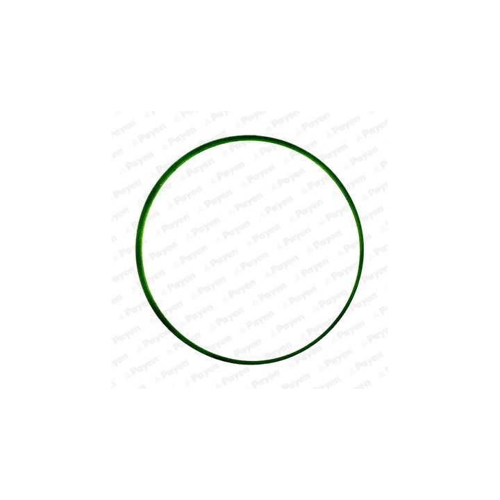 Tarpiklis, įsiurbimo kolektorius PAYEN JD6034